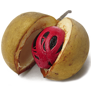 Nutmeg Oil